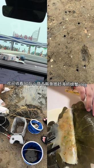 抓螃蟹去喽 我咋就抓不到虾,原来人家都用棍儿抓#吃喝玩乐分享计划 #赶海 #鲅鱼圈 #创作者扶持计划