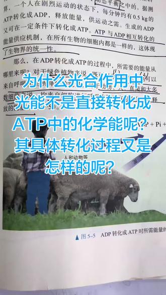 持续更新一高中生物一轮复习中易错易混知识点,欢迎一起交流切磋,一起学习共同进步!#高中生物 #生物高考 #光合作用 #高中生物一轮复习 #新教材内容解读