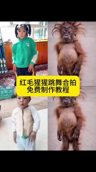 你们都在找的红毛猩猩跳舞合拍制作教程来了。#红毛猩猩演我精神状态舞蹈挑战 红毛猩猩演我精神状态舞蹈怎么合拍 红毛猩猩演我精神状态舞蹈挑战怎么制作 红毛猩猩演我精神状态舞蹈挑战素材 红毛猩猩演我精神状态 红毛猩猩跳舞 红毛猩猩舞蹈 #红毛猩猩 红毛猩猩跳舞素材 红毛猩猩跳舞怎么剪 #红毛猩猩跳舞 红毛猩猩跳舞怎么合拍 红毛猩猩演我精神状态舞蹈挑战怎么拍 我每天的精神状态belike #剪映 猴子跳舞原视频,#上班精神状态 精神状态belike原视频人模仿,精神状态be like视频怎么做 精神状态belike视频怎么剪辑 我每天的精神状态belike表情包,猴子跳舞表情包微信版动图保存教程。猴子跳舞表情包,马喽跳舞表情包,猴子跳舞表情包动图,猴子跳舞表情包gif,马喽跳舞表情包动图 猴子跳舞原视频,上班精神状态舞蹈,猴子表情包,精神状态belike原视频人模仿,精神状态be like视频怎么做,精神状态belike视频怎么剪辑,