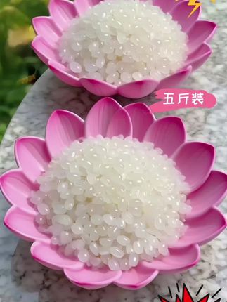#图文扶持计划入口 挖到宝啦!家人们这香粳米绝了,我能炫3碗白米饭。家人们!我宣布和散装大米“分手”!被这款东北香粳米狠狠拿捏了! 一年仅产一季,粒粒饱满!从下锅那刻起,米香就跟施魔法似的,迅速霸占整个家。 入口软糯香甜,每一口都是顶级享受,以前吃饭像做任务,现在吃饭是快乐加倍! 这性价比,我直接囤了20斤!爱吃米饭的宝子闭眼冲😋!#香粳米 #优质农产品 #大米 #东北大米