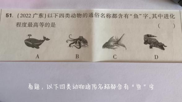 习题+1 还是认真准备知识点讲解吧~果然人不能分心吖~
#初中生物 #初中生物题 #初中生物学 #生物题 #初中生物知识点
