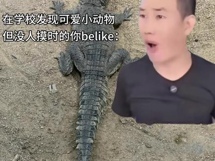 你们为什么不去摸摸它#噶子