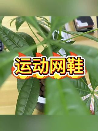 #运动鞋 #网鞋 #跑步鞋