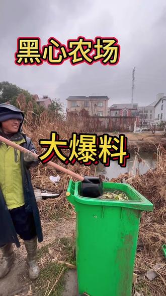 揭秘“黑心”农户处理烂菜叶,这样喂养的鸡我们还能吃吗!#搞笑视频#农场趣味视频#曝光养殖秘密