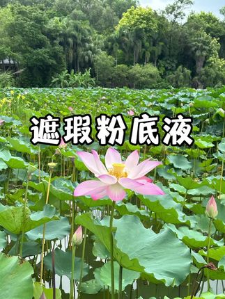 高遮瑕还平价 服帖扒脸的粉底液给你们找来了!又润又持妆!我也没想到69块钱这么好用!#超便宜超划算 #底妆 #粉底液 #持妆遮瑕粉底液 #超好用的粉底液 @DOU+小助手