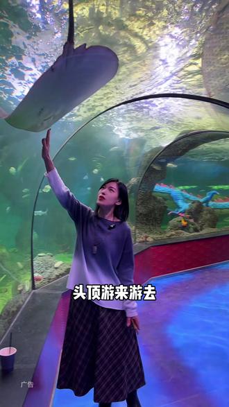 大明湖里边刚开业了一家明湖龙宫!#明湖龙宫#大明湖#济南旅游攻略 #寒假春节去哪玩#春节快乐的n种方式 @DOU+小助手