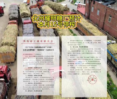 化州耀明糖厂预计这个月15号停榨了#化州 #糖厂 #广东dou知道 #上热门 #粤西