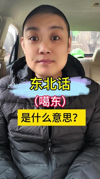 东北话,噶东,是什么意思?