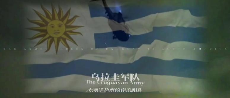 环球军力之乌拉圭武装力量。#军事 #军事科普 #武器科普 #南美#乌拉圭