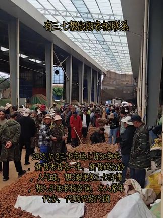 文山三七,产地,想入手囤货的老板把握机会#新农人计划 #源头好货 #抖音助农扶农 #农产品原产地 #抖音推广 想了解更多三七资讯双击关注