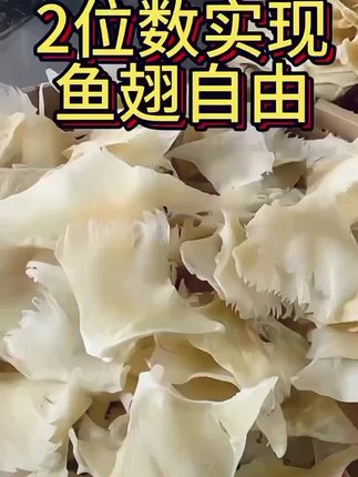 #上热门 大号的海次干 终于晒好了次骨丝收藏分享好物推荐好东西一起分享给大家 #在家做美食#鱼翅 #舌尖美味 #滋补养生食材 @抖加🔥上热门🔥dou+🔥热点宝 @DOU+小热门🔥粉丝千千万🔥