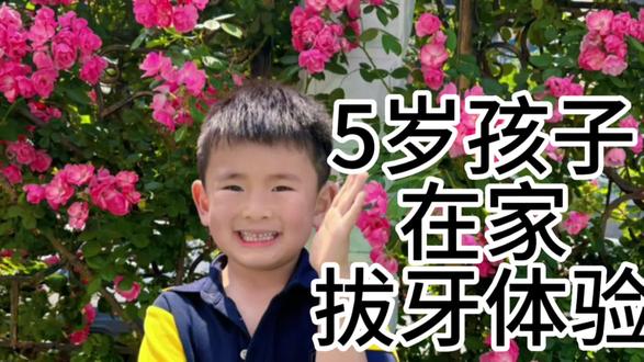 给5岁孩子在家拔牙的体验 #猪鼻扣 #在家拔牙 #宝贝换牙,#乳牙换牙 #双排牙
勇敢小英雄的特别胜利
妈妈眼疾手快,迅速拿起手机,镜头里,他满脸涨得通红,兴奋得像个小太阳。他高高举起那颗来之不易的小牙齿,宛如举起一面胜利的旗帜,明亮的眼睛里闪烁着光芒,扯着嗓门大喊:"我打败牙齿大魔王啦!明天去幼儿园,一定要让大家见识见识我的超级武器!"他欢快地蹦跳着,笑声清脆响亮,整个房间都跟着热闹起来,墙上贴着的卡通贴纸,仿佛也在随着他的快乐节奏轻轻舞动。
夜色渐浓,月光透过窗户的缝隙洒进房间。他一脸认真地把装着牙齿的宇宙飞船模型轻轻放在枕边,小手掌小心翼翼地抚摸着模型上五彩的"星星"和帅气的"火箭",一边抚摸,一边自言自语:"牙仙子会不会开着比这个更厉害的飞船来呢?"说完,他乖乖地闭上双眼,小脸上挂着甜甜的笑容,在期待中慢慢进入梦乡,盼望着牙仙子带着惊喜降临,与他分享这份勇敢者的荣耀。