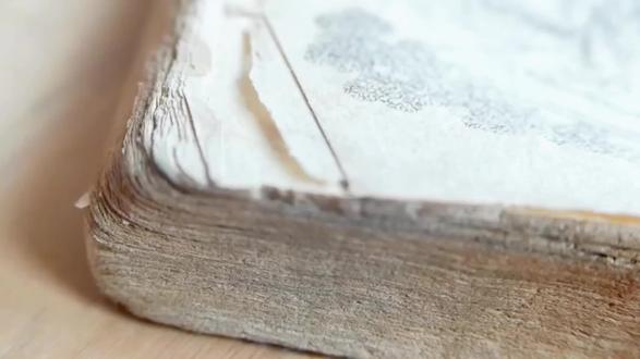 第三十集‖百家姓之“魏”姓#上热门#知识分享#中华文化#百家姓#你怎么看