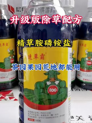 精草胺磷铵盐除草#我的农资之路 #果园除草#精草铵膦铵盐 #厂家直发品质保证