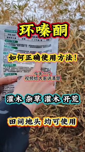 环嗪酮颗粒剂#除草开荒通用#厂家直发品质保证