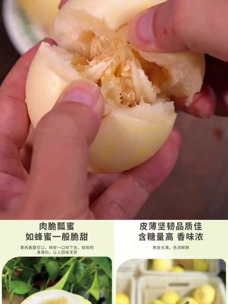 顺丰包邮头茬小蜜蜂甜瓜蜜甜脆爽当季新鲜水果香瓜2/3/5斤