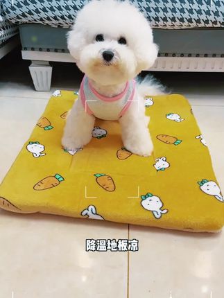 三层加厚两面都可以睡的宠物保暖垫,铺小床,铺沙发,铺狗笼,铺哪里都可以,好看又实用!#萌宠好物 #狗狗睡垫 #宠物睡垫 #狗狗垫子