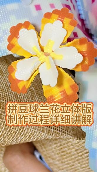 抖音第0届拼豆大赛 球兰花拼豆立体版申请出战#抖音第0届拼豆大赛 #拼豆科研 #拼豆立体 #拼豆花束 #徒手捏了朵花🌸