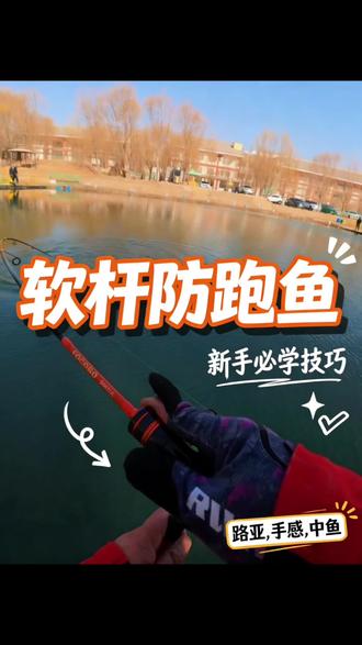 #种草激励计划#黑坑鳟鱼#路亚#黑坑鳟鱼饵
软杆手感还是好啊,技能防止跑鱼,又能体验鳟鱼暴躁的拉力!