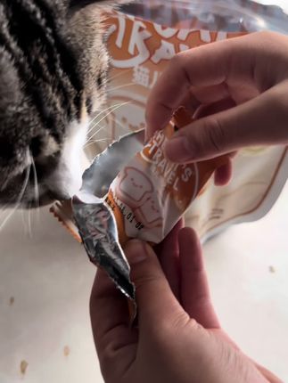 猫儿游戏记出新品啦,这次是可可爱爱的吐司冻干也是主食哦!