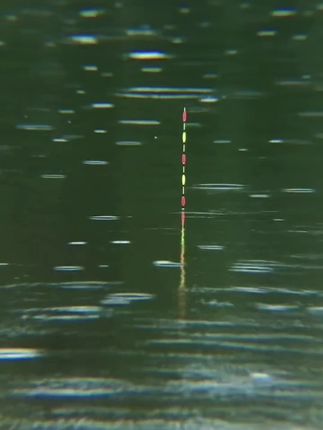 无铅自立夜光漂#夜光漂#浮漂 #浮漂鱼漂 #浮漂的选择