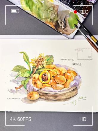 2分钟教会你🖌️如何画水彩枇杷#绘画教程 #手绘教程 #跟着抖音学画画 #水彩 #零基础学画画