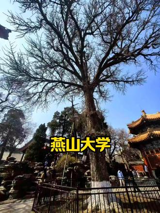 张雪峰老师讲燕山大学 燕山大学(Yanshan University),坐落于渤海之滨的秦皇岛,是省部共建全国重点大学、河北省“双一流”重点建设高校,北京高科大学联盟成员 。
溯源于1920年哈工大,1960年独立为东北重型机械学院,1997年南迁更名燕山大学,百年工科血脉,铸就机械四小龙荣光。
- 学科硬实力:机械工程A-(全国前10%)、材料科学与工程B+,5个学科进入ESI全球前1% 。
- 国之重器:田永君院士团队刷新超硬材料世界纪录,助力嫦娥探月、天眼、港珠澳大桥等大国工程。
- 师资阵容:院士领衔,国家级人才荟萃,12个博士后流动站、14个博士点、60个本科专业,工学为主、多学科协调发展 。
- 就业升学:央企国企直通车,保研率超10%,双非天花板,制造业、高端装备领域认可度拉满。
厚德博学,求是笃行;为天下铸重器,为国育栋梁。#燕山大学 #高考守护者 #抖音精选 #高考志愿 #选大学