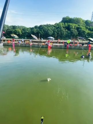 偷偷加点,钓鱼如此简单
