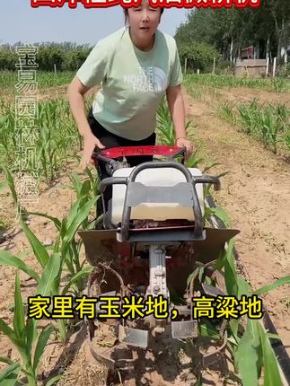 四冲程纯汽油微耕机 松土除草,犁地开沟一机多用#三农 #一机多用省时省力省人工 #多功能旋耕机 #农业机械 #微耕机