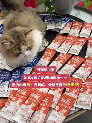 9.9元给我家猫买了26袋猫饭后?桌子都当床睡了🤣🤣它可开心了#萌宠 #宠物猫咪 #猫零食 #猫饭推荐 #湿粮主食