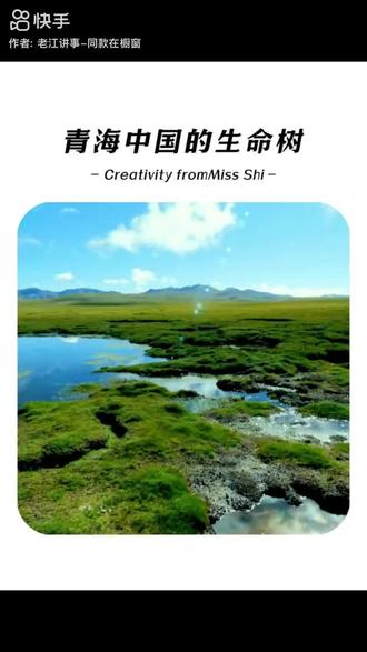 一部“生命树” 让青海火爆了