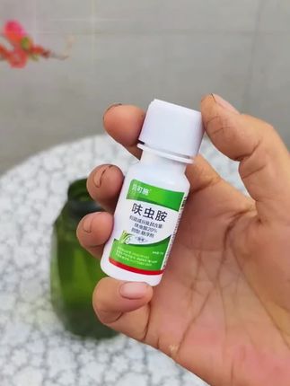 花盆里总是有小黑飞飞来飞去特别烦,快用它解决! #小黑飞#小黑飞专用#绿植#花卉#盆栽