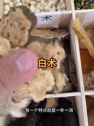 正宗白术无硫酸野生#三农种植 #新农人计划 #植物科普 #草本植物 #抖音助农扶农