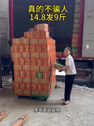 #金煌芒