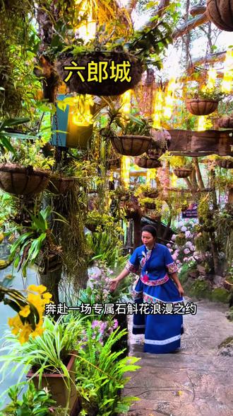 六郎城·仙草秘境的石斛花节一直持续到5.31号,姐妹们快来玩,放松放松#六郎城仙草秘境石斛花文化节#六郎城仙草秘境
#五一六郎城放大招啦#文山文旅#六郎城石斛花开了