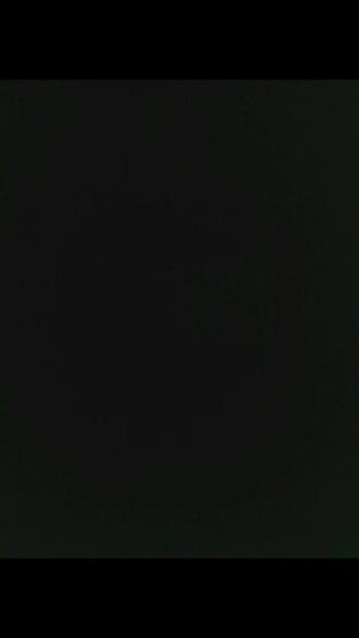 抽象鸽子舞蹈整蛊兄弟代码,让朋友破防#疯狂的鸽子#古菇顾#恶搞代码#微信代码#整蛊