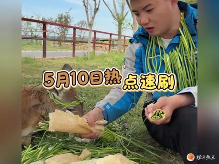 5月10日热点速刷丨袋鼠吃蒜苔#热点 #热点信息差 #热点追踪