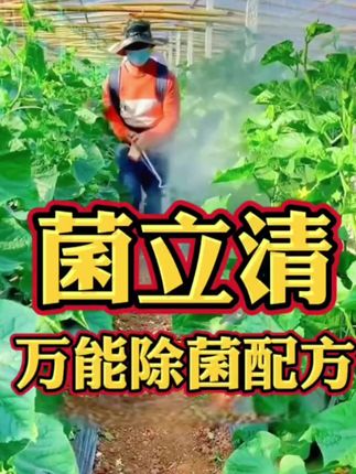 瓜果蔬菜花卉绿植叶面喷一喷,解决种植大烦恼! #菌立清 #农业种植 #蔬菜种植 #记录生活