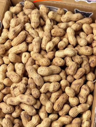 #花生 #花生推荐 #花生下酒