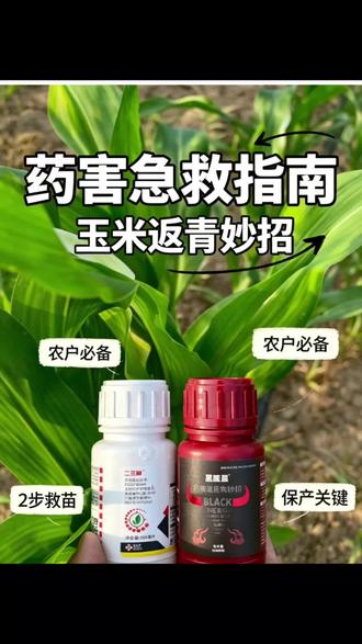 玉米药害减产?一招快速缓苗返青
#中国杀虫剂#六夫丁