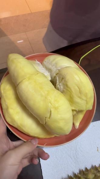 山姆榴莲开箱 山姆榴莲XL款开箱!居然开出5房,出肉3.6斤#山姆榴莲盲盒 #榴莲 #美食 #开榴莲 #山姆超市