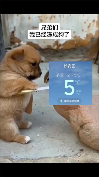 怎么突然降温了啊!#降温 #抖音热点 #下雪了