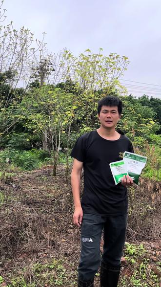 5%的环嗪酮颗粒剂效果比较慢,追求效果可以用75%高含量的。#环嗪酮 #环嗪酮除草剂 #环嗪酮省心省力一次解决 #高含量环嗪酮