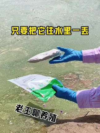 #水产养殖#水产养殖技术#水产人#鱼虾蟹养殖