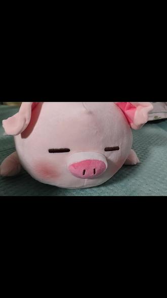 #申请加入fog #小猪 猪猪申请加入fog