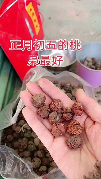 老桃树上的桃枭,自带福气,盘一盘好运自然来,一枚桃枭,一份心安,藏着岁月静好,也藏着平安顺遂🙏🏻