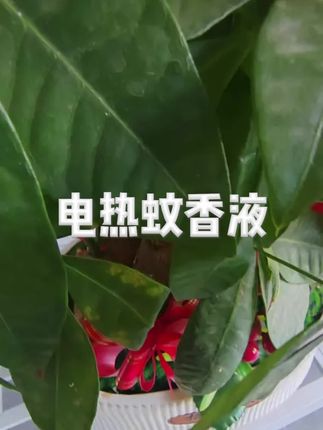 电热家用无烟无味温和驱蚊插式驱蚊电蚊液#蚊香液 #电热蚊香液 #驱蚊液 #电蚊香液 #丸丫驱蚊液