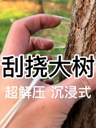 #asmr #暴力助眠 #刮挠大树#解压助眠asmr 对于那些个免疫的宝宝超有效