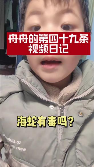 海蛇有毒吗?#我们的海洋世界 #创作者中心 #创作灵感 #视频日记 #上热门🔥