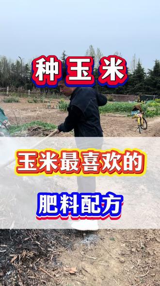 玉米种植管理技术 #农业技术分享 玉米最喜欢的肥料配方!#玉米种植 #玉米高产 #玉米追肥 #农业种植